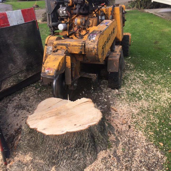 stump grinding
