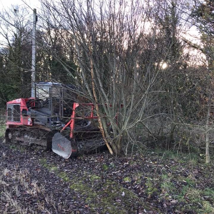 mulching
